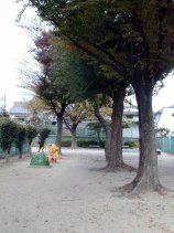 kamisuki195.jpg (10702 �o�C�g)