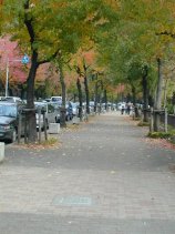 meijou215.jpg (10566 �o�C�g)