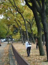 meijou217.jpg (14178 �o�C�g)