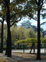 meijou219.jpg (19408 �o�C�g)