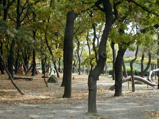 meijou220.jpg (32187 �o�C�g)