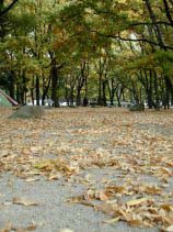 meijou221.jpg (20481 �o�C�g)