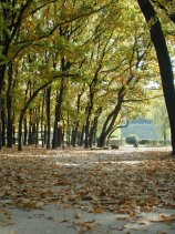 meijou223.jpg (15740 �o�C�g)