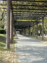 meijou231.jpg (14183 �o�C�g)