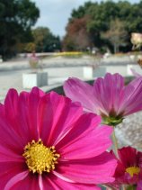 meijou236.jpg (10454 �o�C�g)