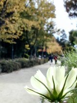 meijou247.jpg (10961 �o�C�g)