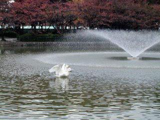 meijou256.jpg (25864 �o�C�g)