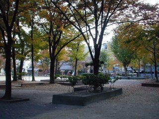 shinmichi088.jpg (31067 �o�C�g)