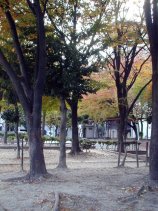 shinmochi089.jpg (14514 �o�C�g)