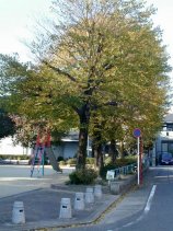 sukiya164.jpg (13469 �o�C�g)