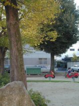 sukiya166.jpg (11707 �o�C�g)