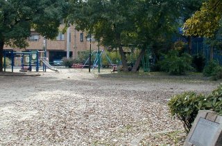 takajo202.jpg (27878 �o�C�g)