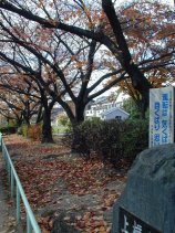 uehashi048.jpg (16179 �o�C�g)