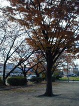 uehashi049.jpg (15748 �o�C�g)