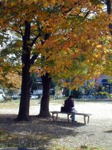 uehashi051.jpg (15518 �o�C�g)