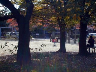 uehashi052.jpg (25285 �o�C�g)