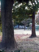 uehashi078.jpg (12452 �o�C�g)