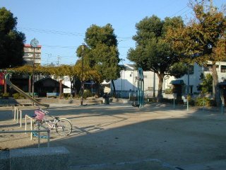 yamagami170.jpg (23965 �o�C�g)