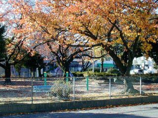 wakatake007.jpg (42617 �o�C�g)