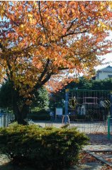 wakatake008.jpg (18408 �o�C�g)