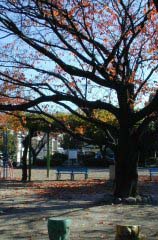 wakatake009.jpg (23875 �o�C�g)