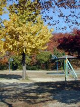 jaike133.jpg (15258 �o�C�g)