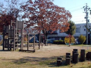 miyaura165.jpg (30983 �o�C�g)