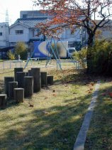 miyaura166.jpg (13131 �o�C�g)