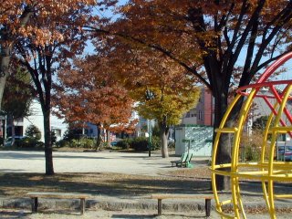 miyaura167.jpg (34269 �o�C�g)