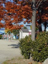 miyaura169.jpg (14989 �o�C�g)