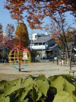 miyaura170.jpg (15049 �o�C�g)