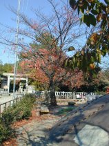 onogi105.jpg (14941 �o�C�g)