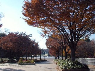 shonairyokuchi014.jpg (29385 �o�C�g)