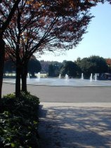 shonairyokuchi015.jpg (12367 �o�C�g)