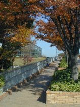 shonairyokuchi016.jpg (13194 �o�C�g)