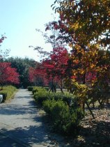 shonairyokuchi023.jpg (13195 �o�C�g)