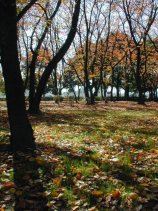 shonairyokuchi038.jpg (16488 �o�C�g)