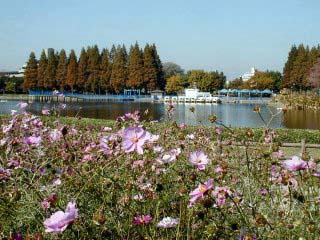 shonairyokuchi042.jpg (33852 �o�C�g)