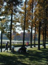 shonairyokuchi058.jpg (15185 �o�C�g)