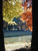 shonairyokuchi059.jpg (18000 �o�C�g)