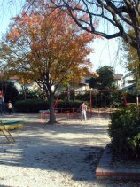 kamiyashiro196.jpg (14679 �o�C�g)