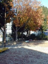 kamiyashiro199.jpg (13849 �o�C�g)