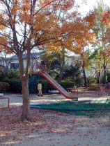 kamiyashiro202.jpg (20385 �o�C�g)