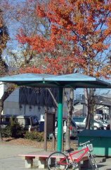 nakaura021.jpg (17305 �o�C�g)