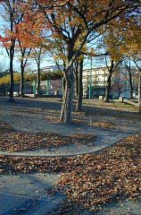 shinpukuji080.jpg (22971 �o�C�g)