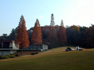 shinrin059.JPG (13597 �o�C�g)