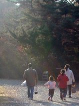 shinrin063.jpg (9203 �o�C�g)