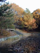 shinrin098.jpg (12301 �o�C�g)