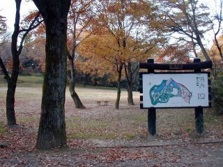 shinrin117.jpg (31427 �o�C�g)