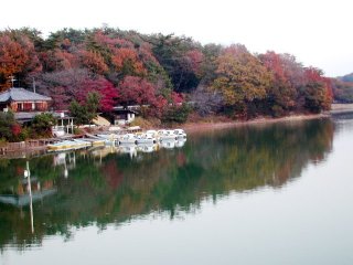 shinrin168.jpg (18535 �o�C�g)